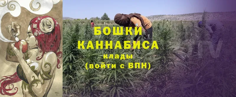 Шишки марихуана SATIVA & INDICA  Касимов 